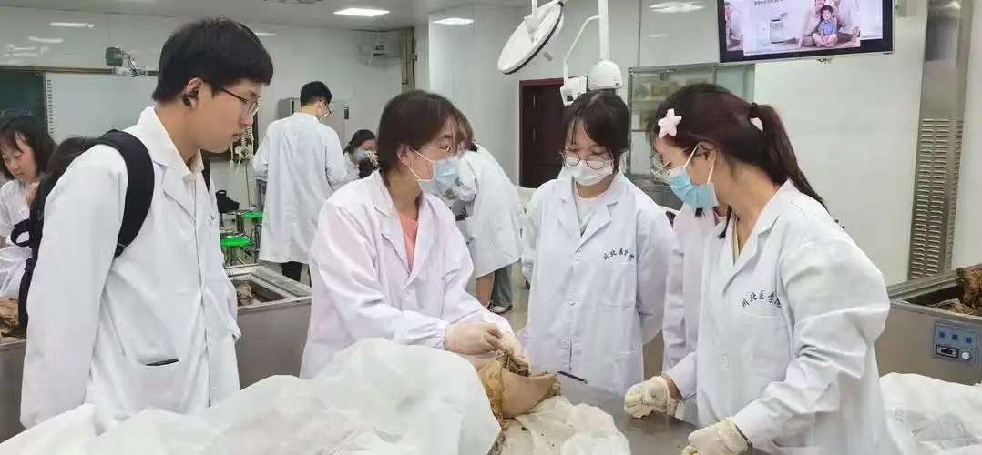 招生中|清镇市单招有那些专业