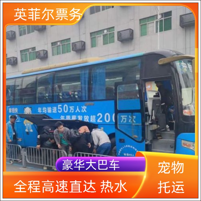 太仓到昭通的长途客车查询多久到2026（豪华软座 长途大巴）