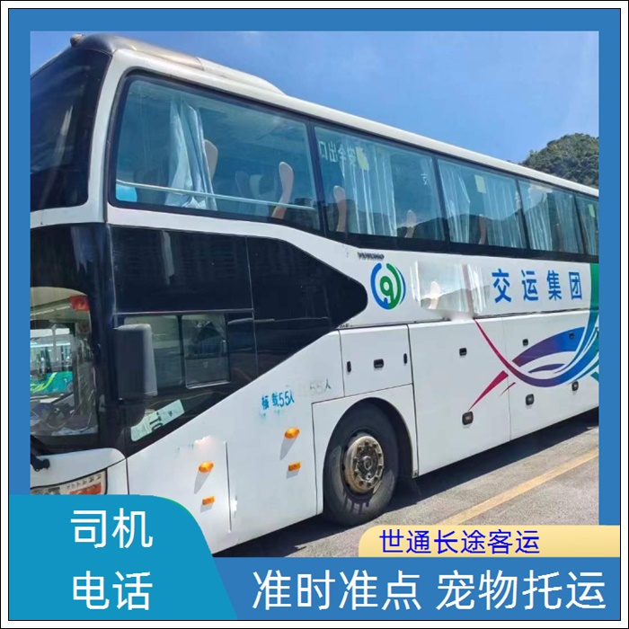 南通到烟台的长途客车汽车客车班次查询表（乘车路线+票价/2026发车时刻表+全程高速 平安到家）