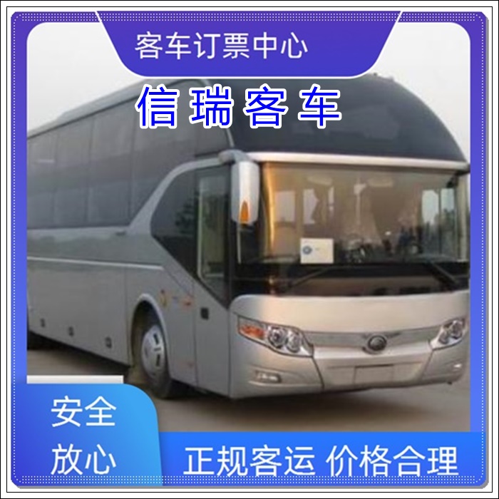 乳山到自贡长途汽车班次查询表（汽车客车大巴+票价/乘车路线）2026宠物托运