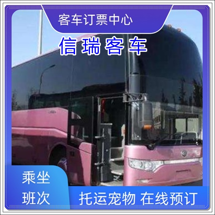 文登到新乡长途汽车班次查询表（豪华长途汽车+票价/乘车路线）2026安全到家