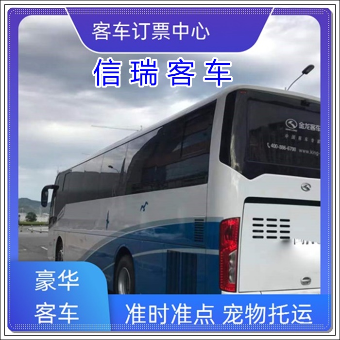 青州到自贡长途汽车班次查询表（大巴客车+票价/乘车路线）2026汽车班次