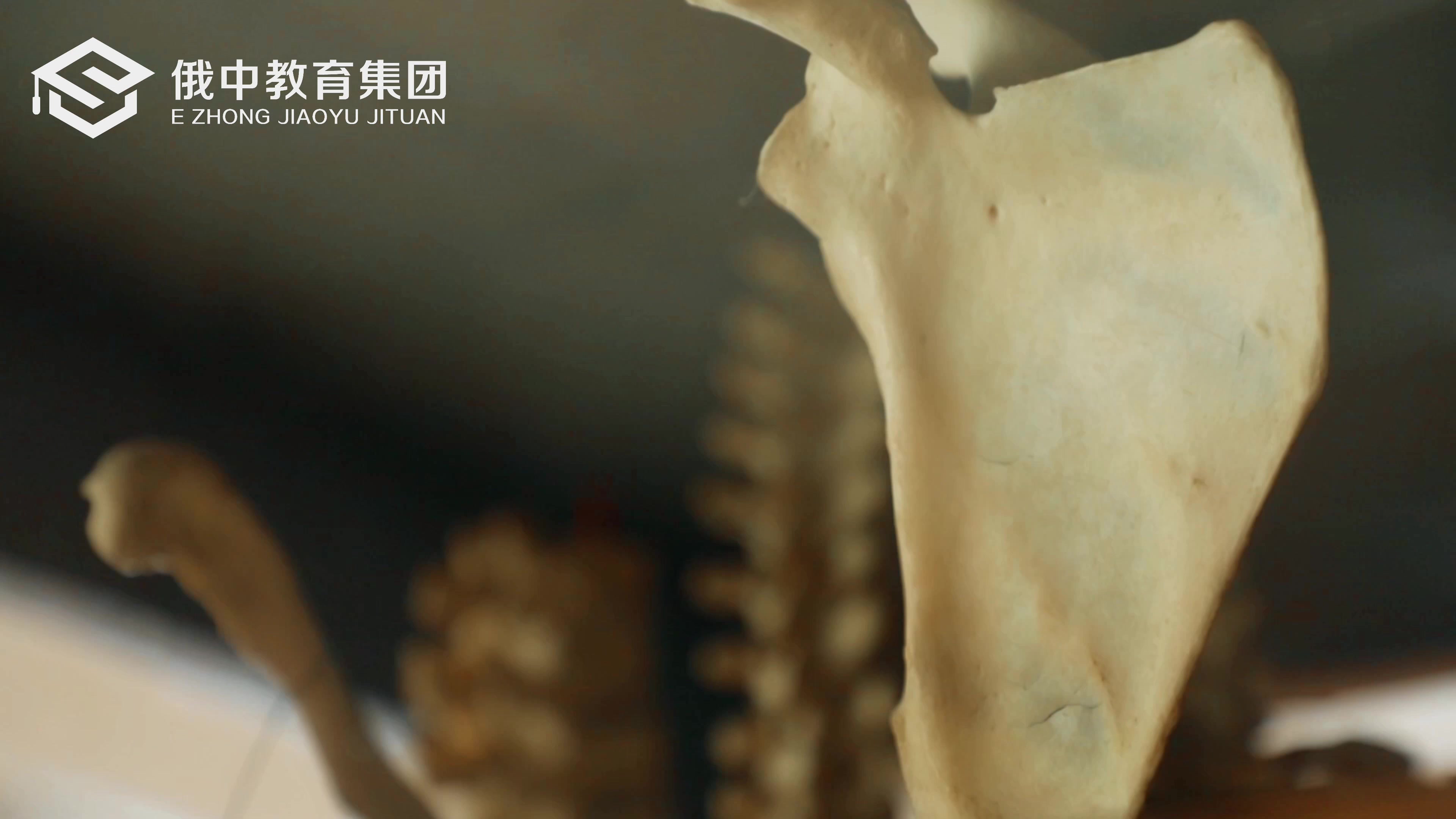 2026年中专毕业推荐报读太平洋国立医科大学回国考医师