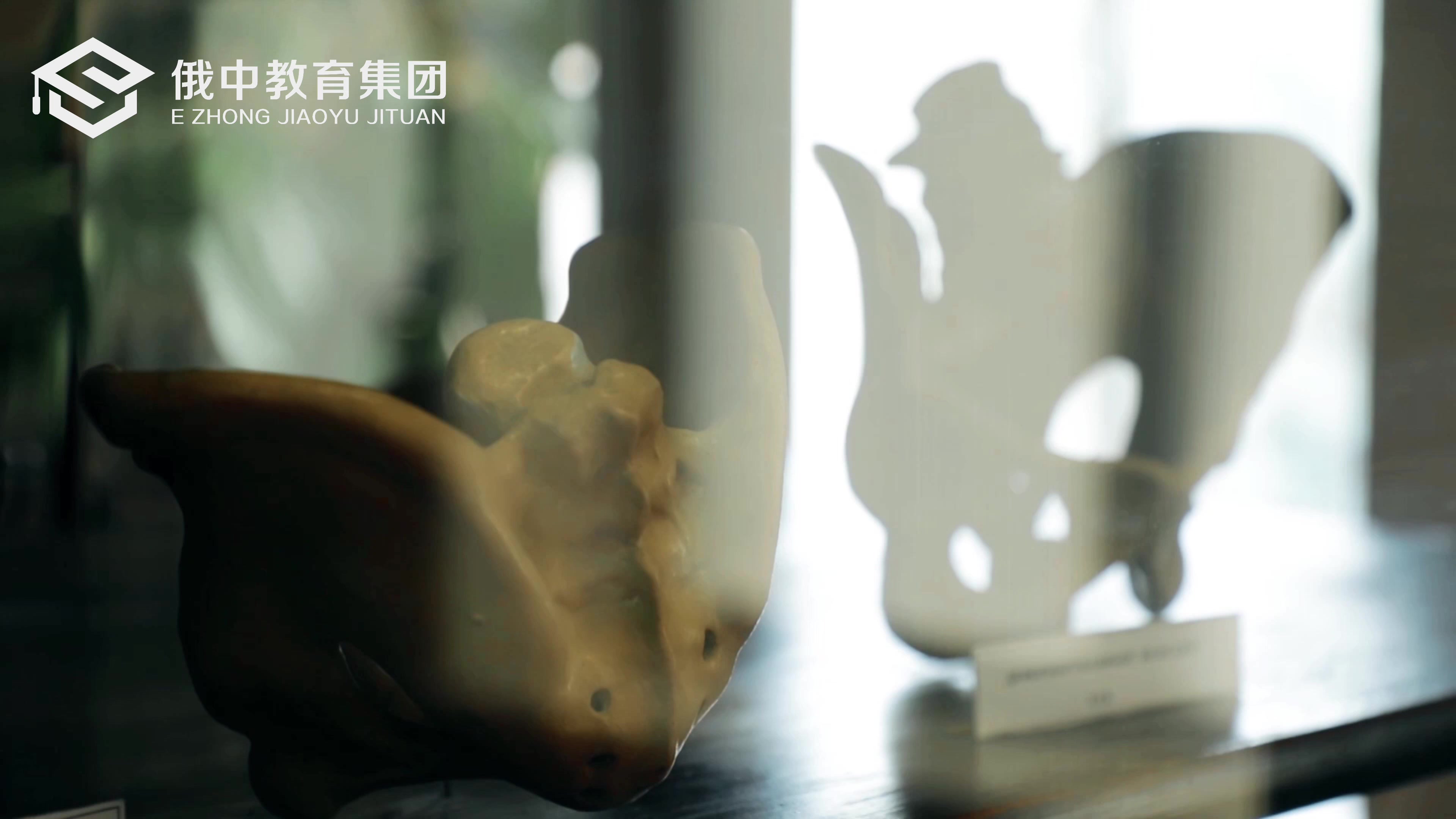 2026年落榜生想学医俄罗斯太平洋国立医科大学入学考试