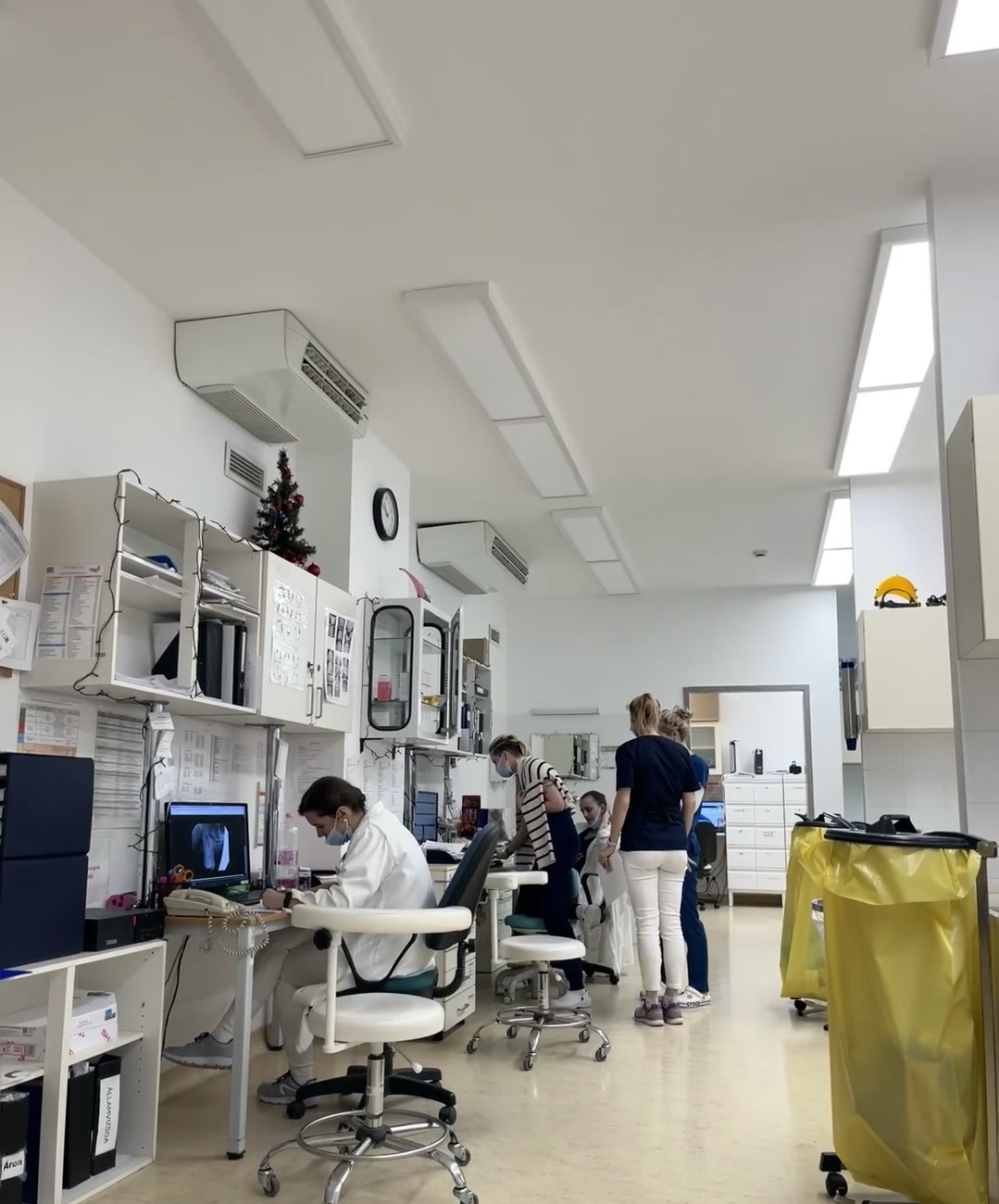 贵州中医药大学时珍学院国际教育学院有哪些口腔医学国际班招生<学校申请>2025一览