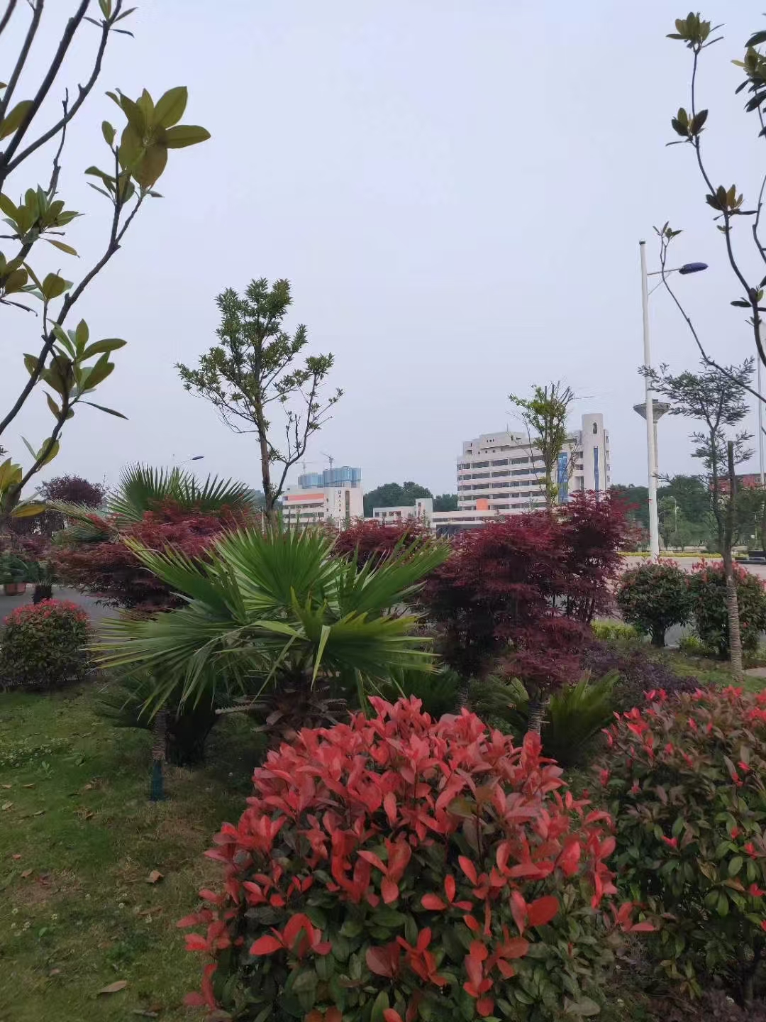 安顺镇宁县学费便宜的小学一学期多少钱<校区分布>2025收费推荐