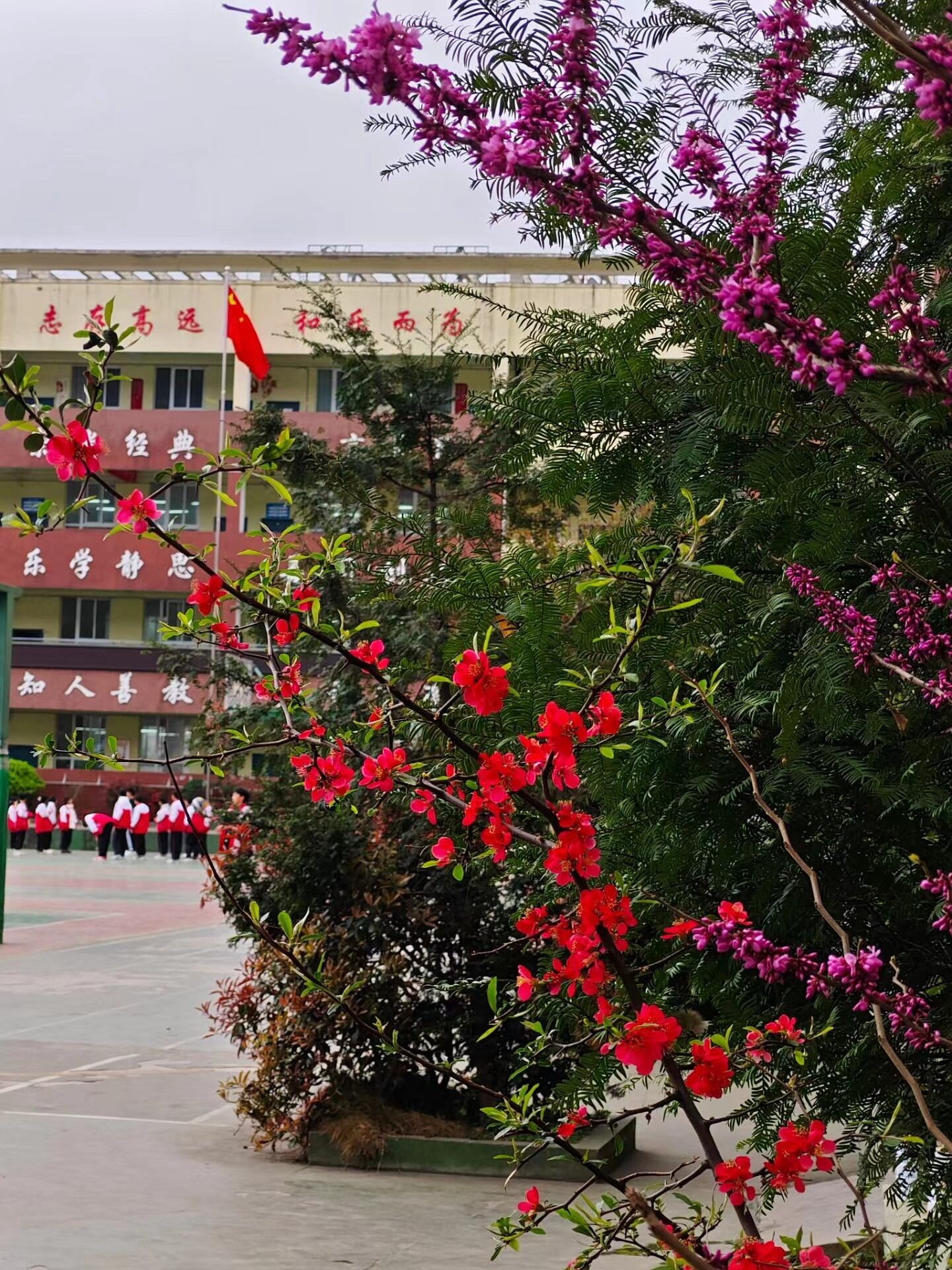 2026毕节七星关全托初三贵阳教得咋样+毕节七星关补习班top口碑一览