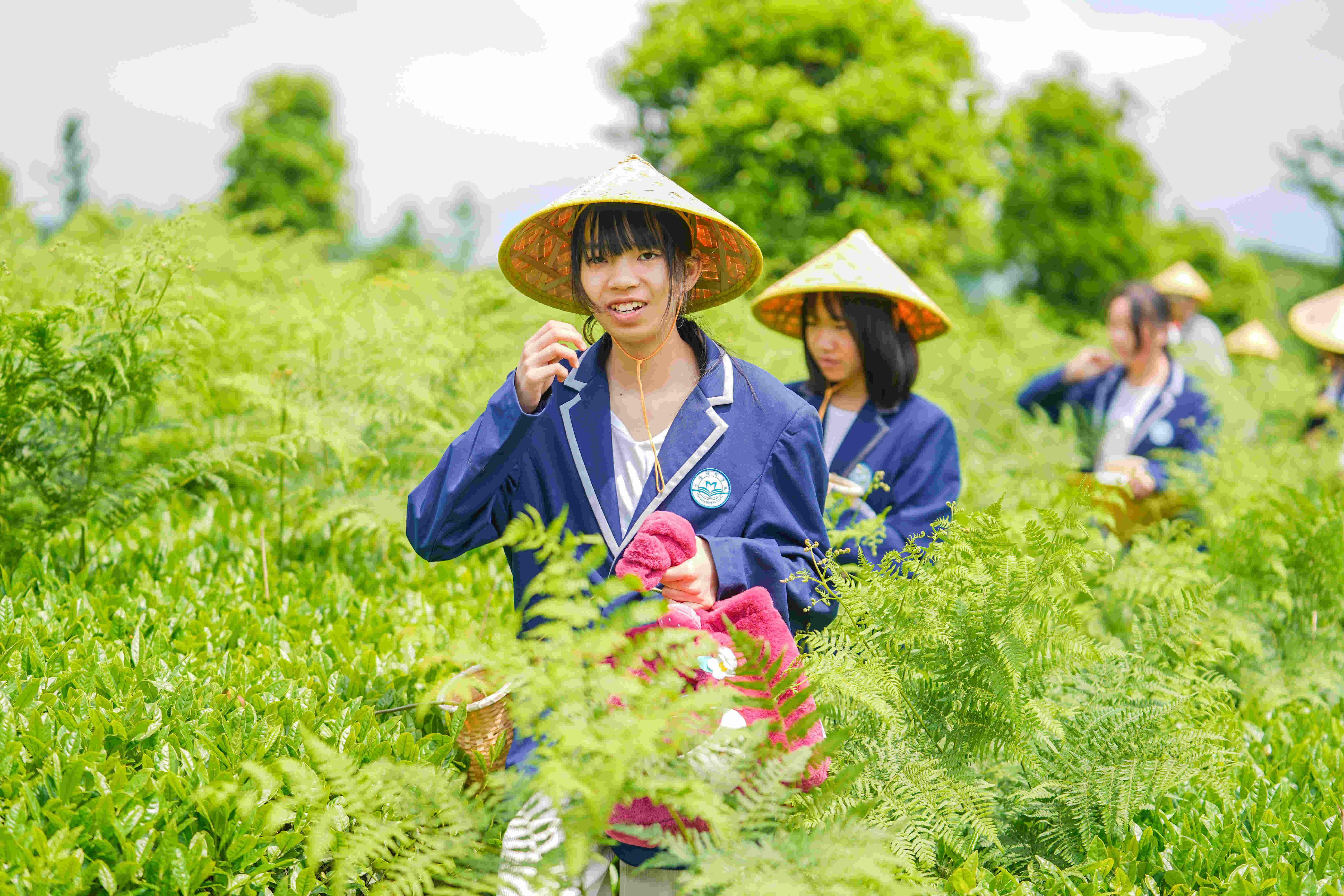 热门推荐|南明区最厉害中考复读集训机构前五