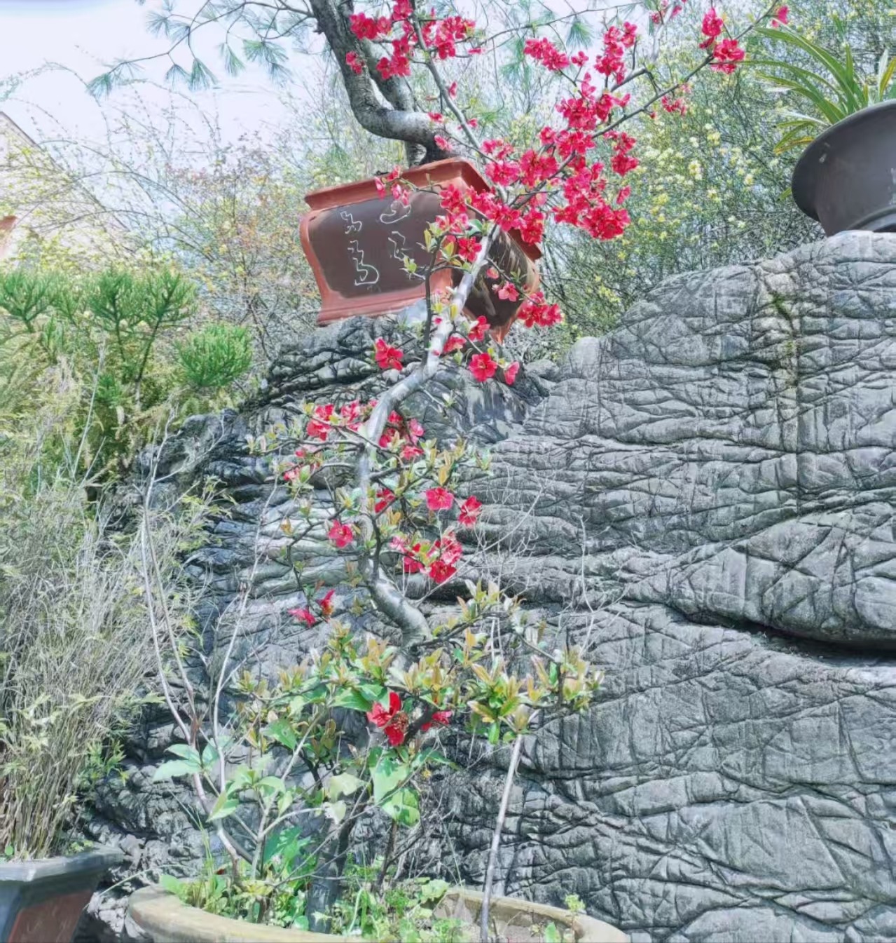 贵安新区护理专业学校榜+2025贵安新区500分可以读的民办高中