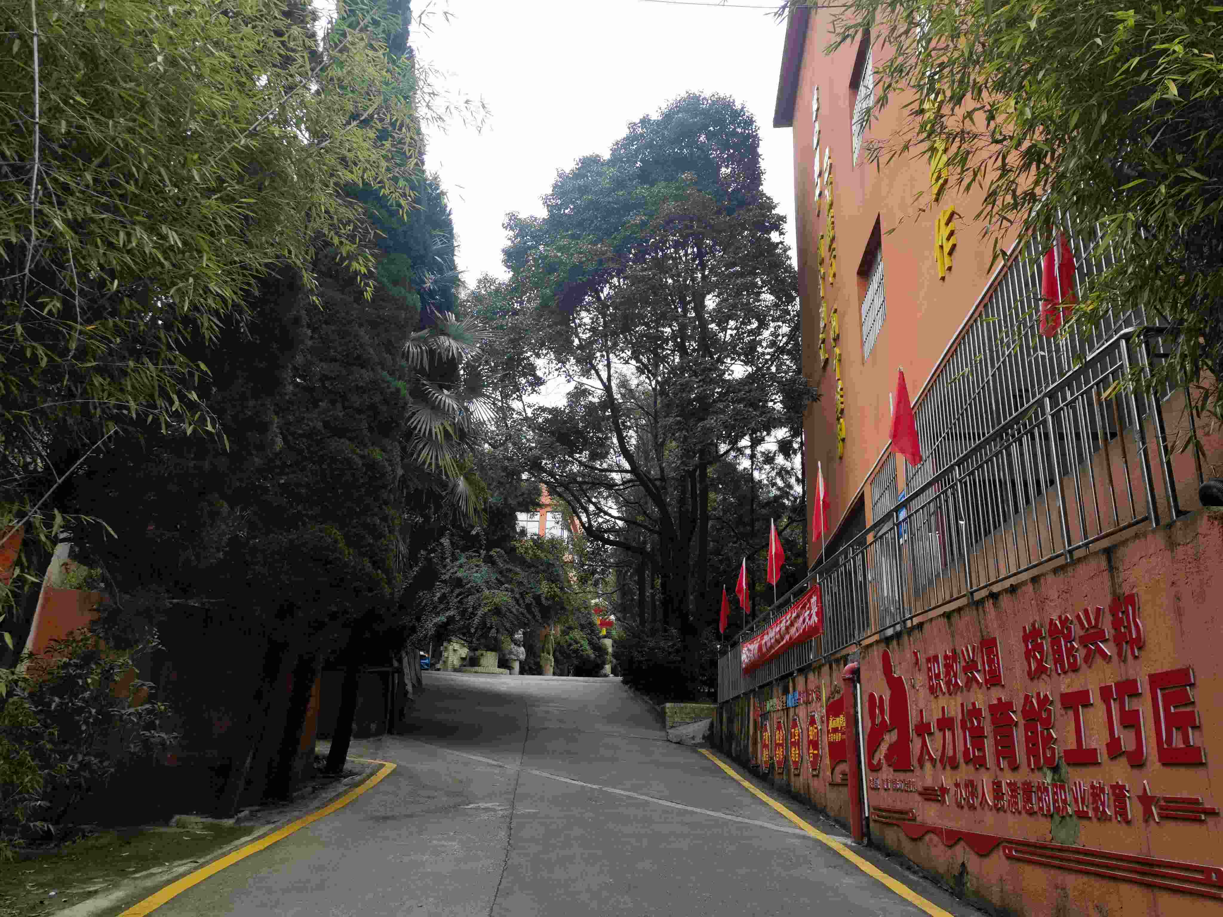 兴义市一般民办高中都有哪些+2025兴义市500分可以读的民办高中