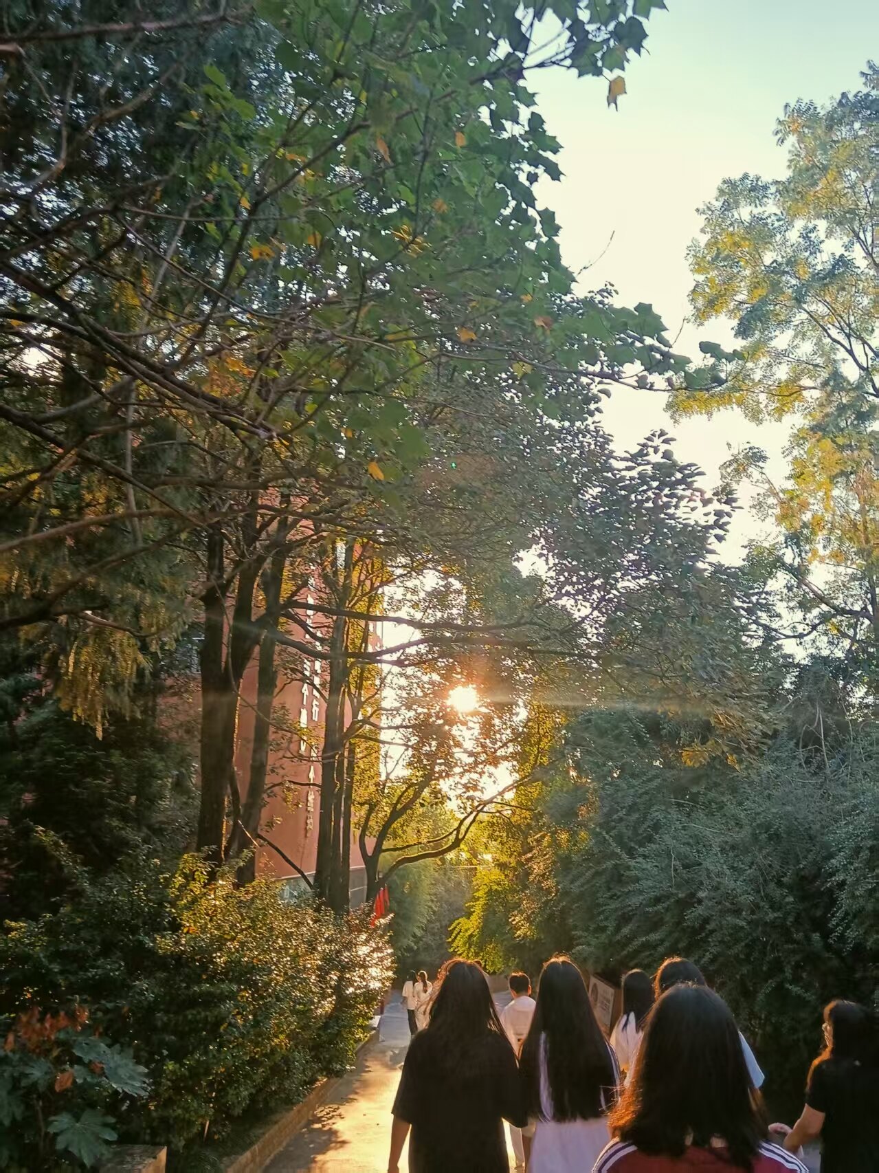 铜仁市中职融通班报考条件+2025铜仁市500分可以读的民办高中