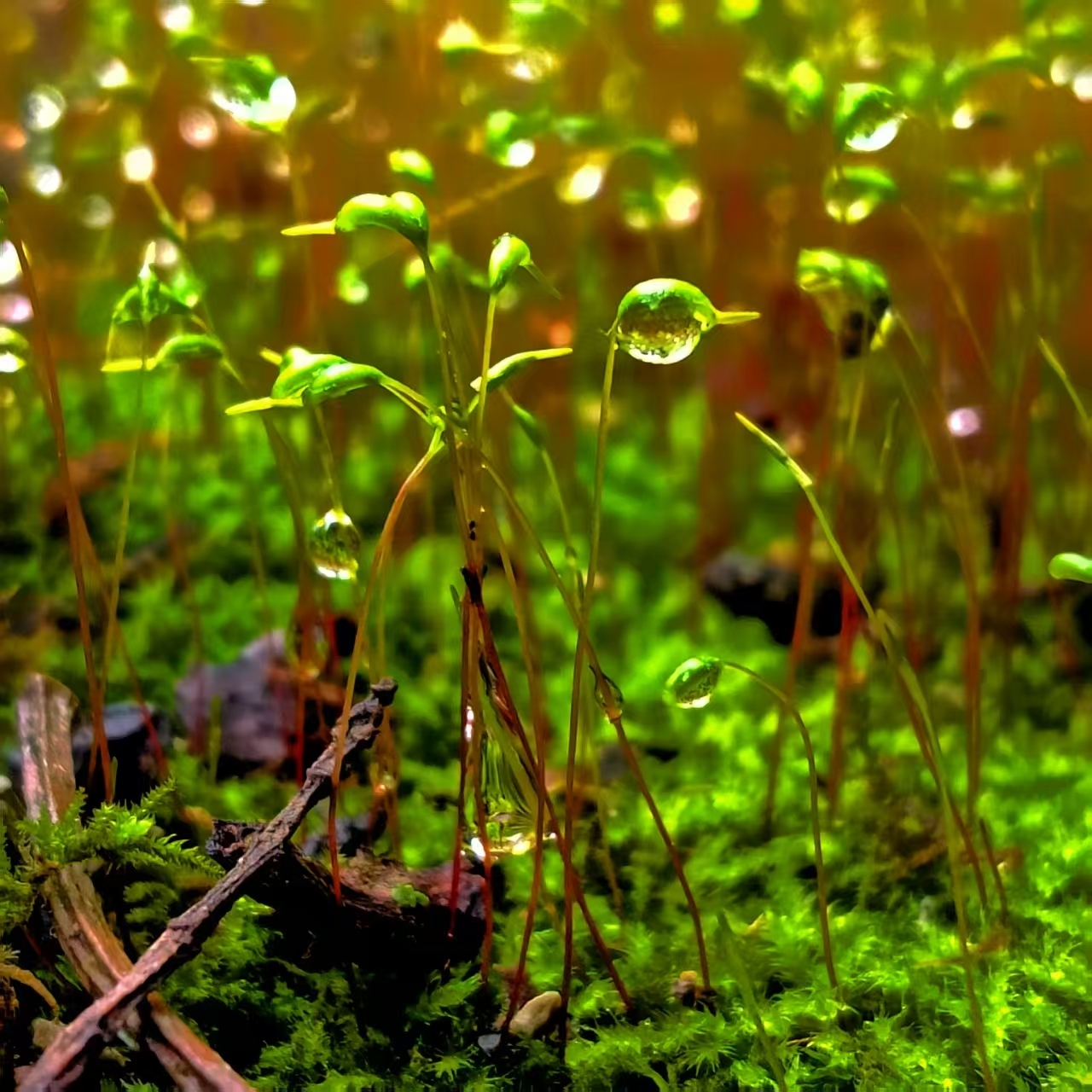贵阳市中职中专学校都有哪些+2025贵阳市500分可以读的民办高中