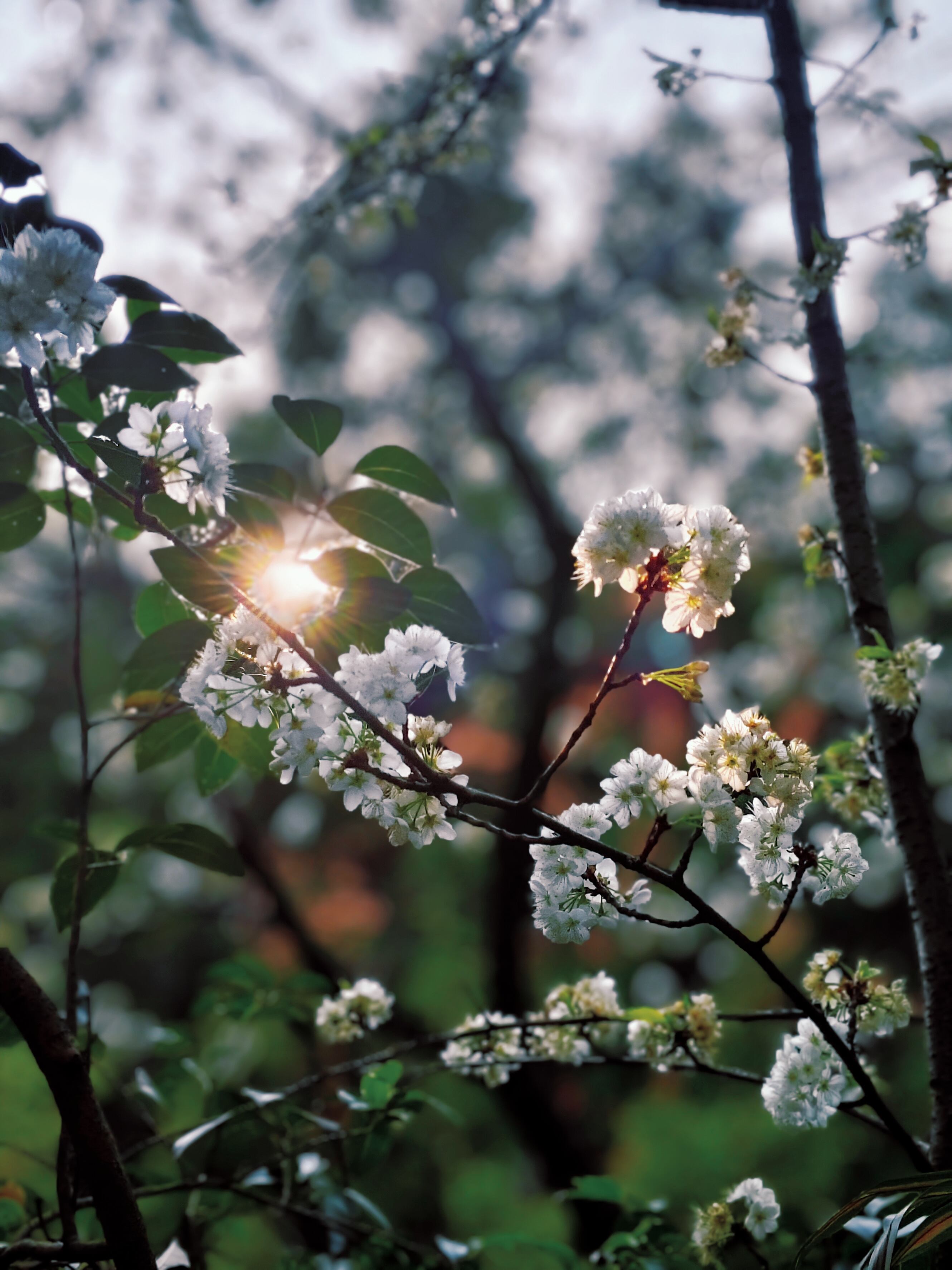 贵阳花溪区融通升学班招生+2025贵阳花溪区500分可以读的民办高中