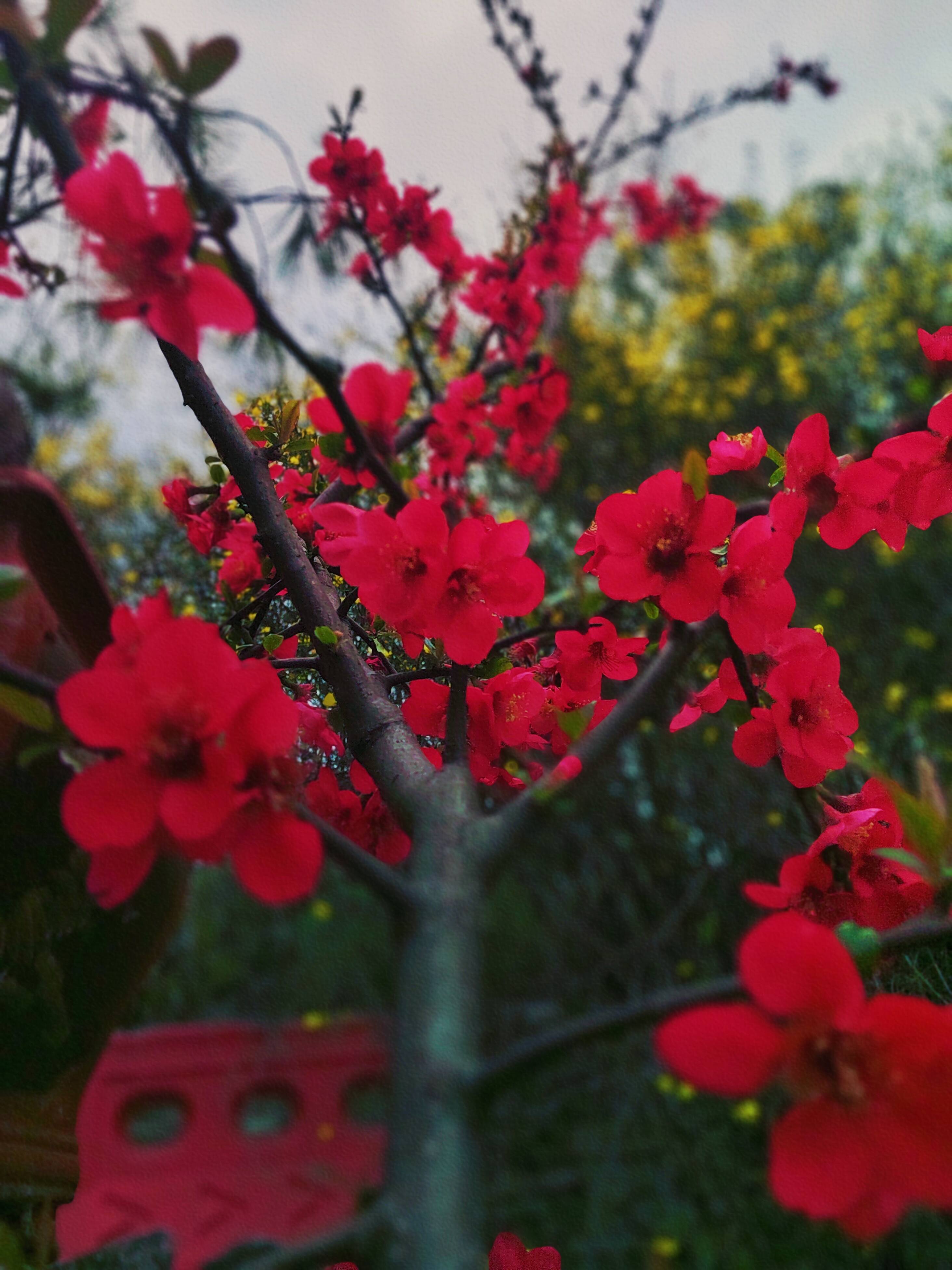 全贵阳中专汽车专业学校报考条件+2025全贵阳500分可以读的民办高中