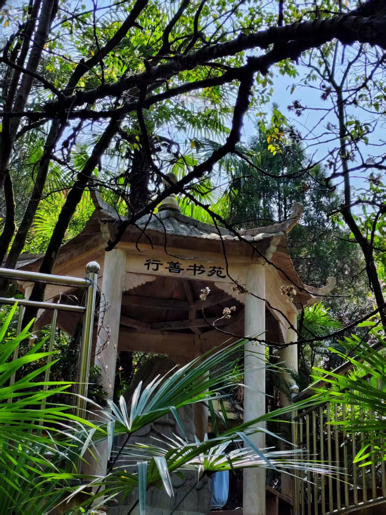 兴义市中专升大专今年招生什么条件+2025兴义市500分可以读的民办高中