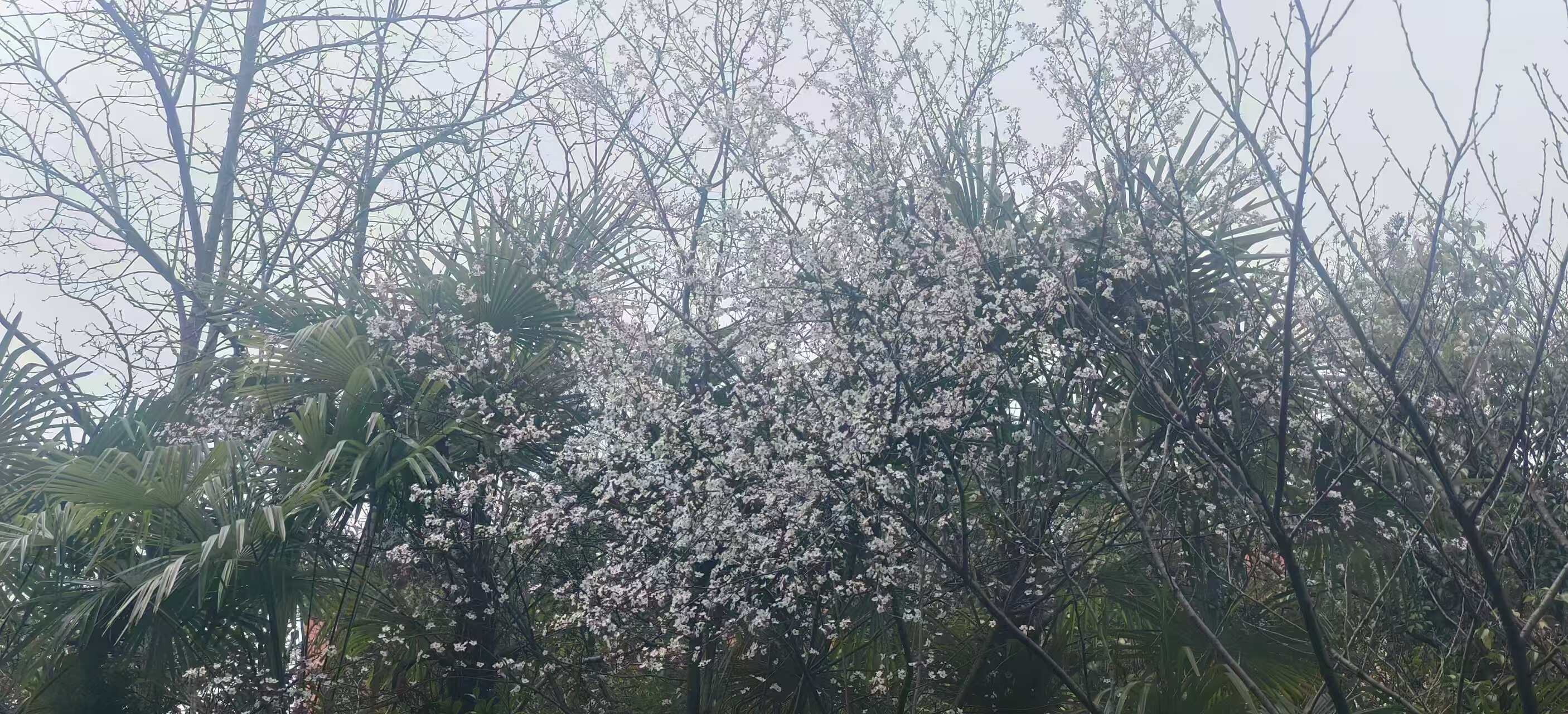 云岩区中职招生哪家强+2025云岩区500分可以读的民办高中