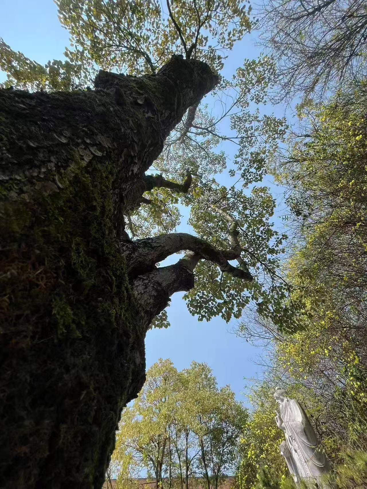 白云区3+4学校那家好+2025白云区500分可以读的民办高中