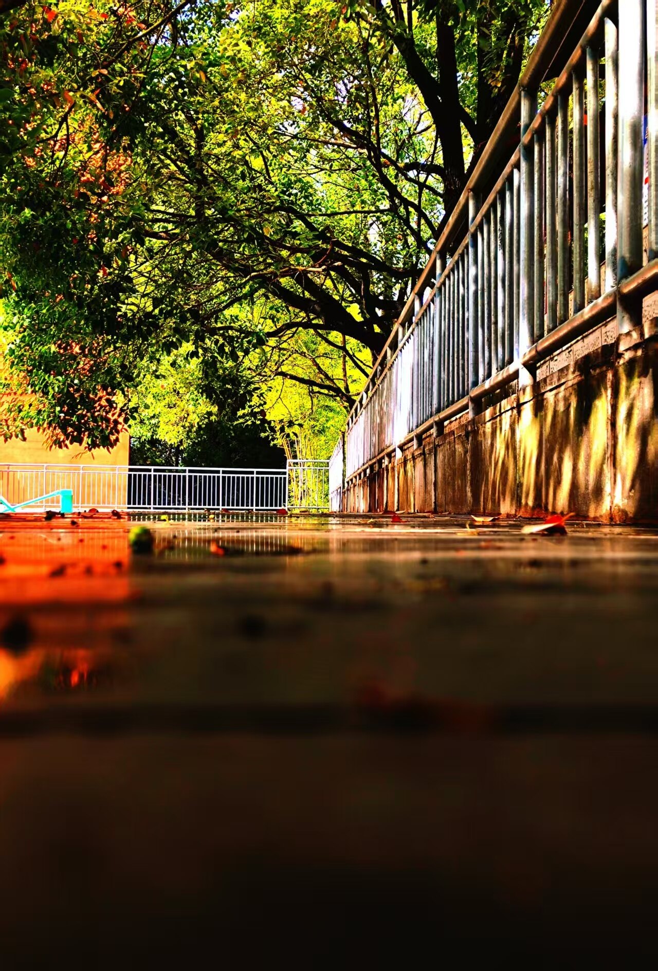 六盘水市普高+2025六盘水市500分可以读的民办高中