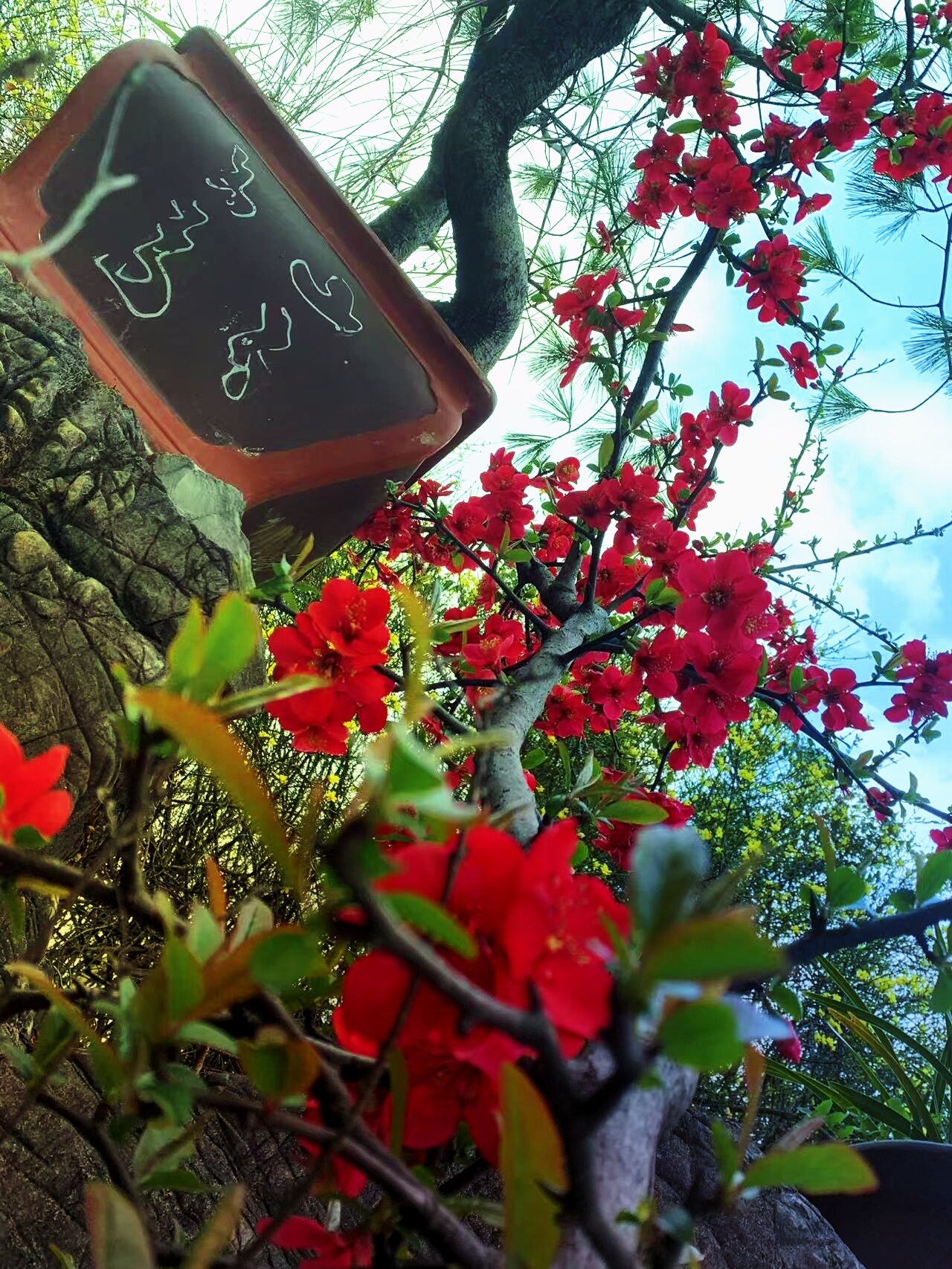 乌当区职校升学好就业吗+2025乌当区500分可以读的民办高中