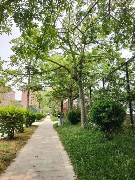 2026南明区初三全托班补课机构哪家好》5按口碑实力汇总