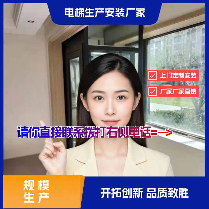 大新电梯厂家信息2026「」