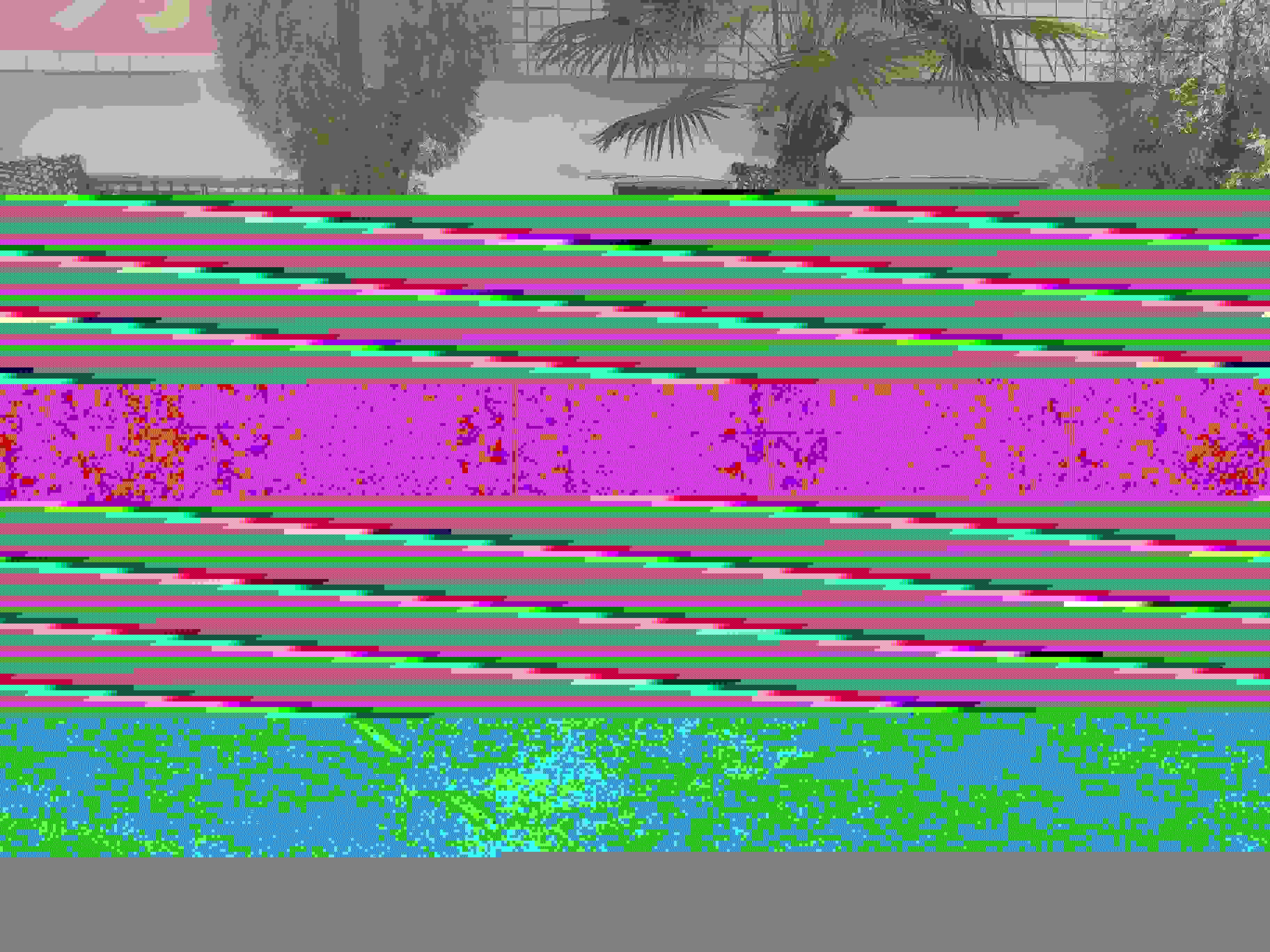 2025花溪区教得好的期孩子改造学校收费<老师指导>2025收费一览