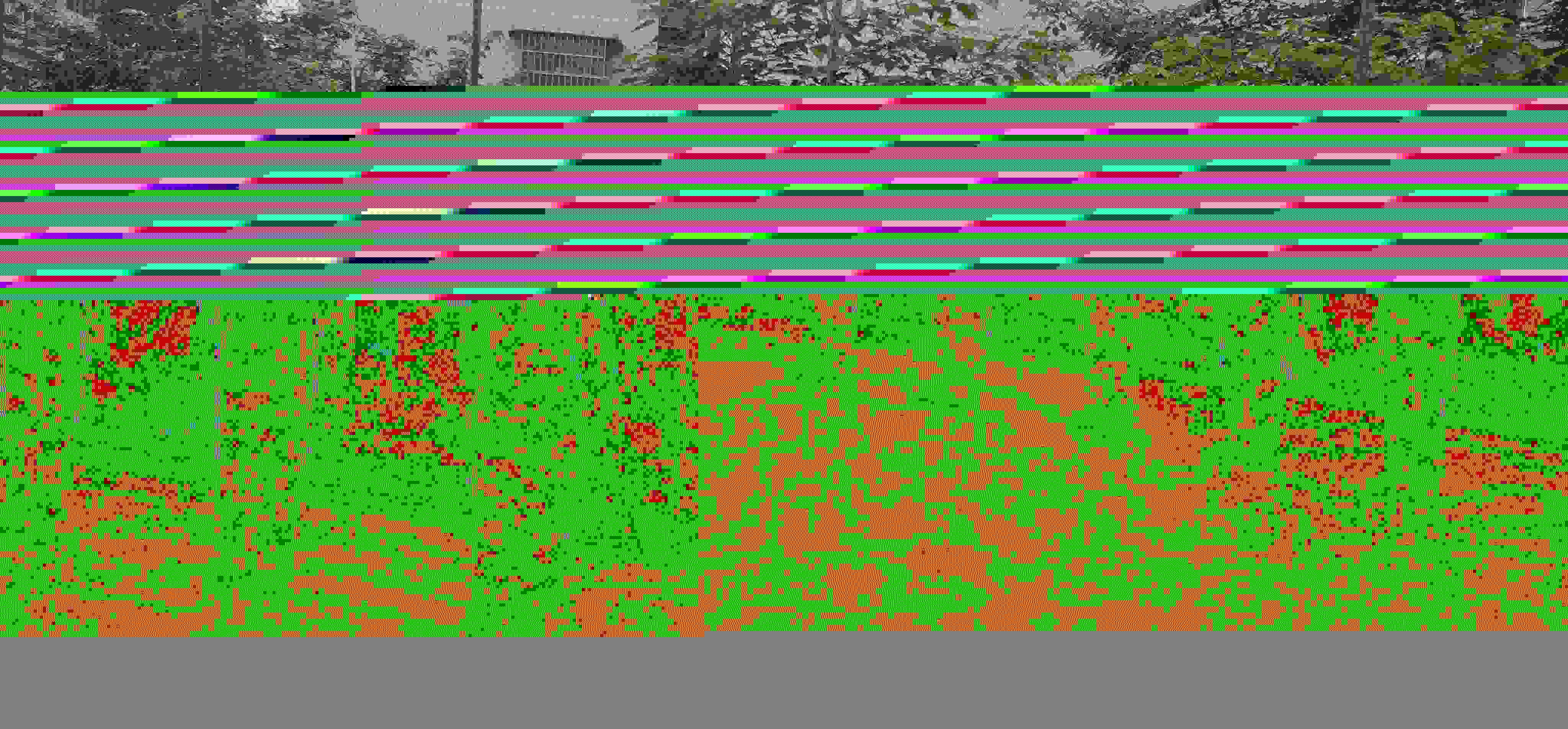 2025南明区五大少年学校收费<小班教学>2025一览