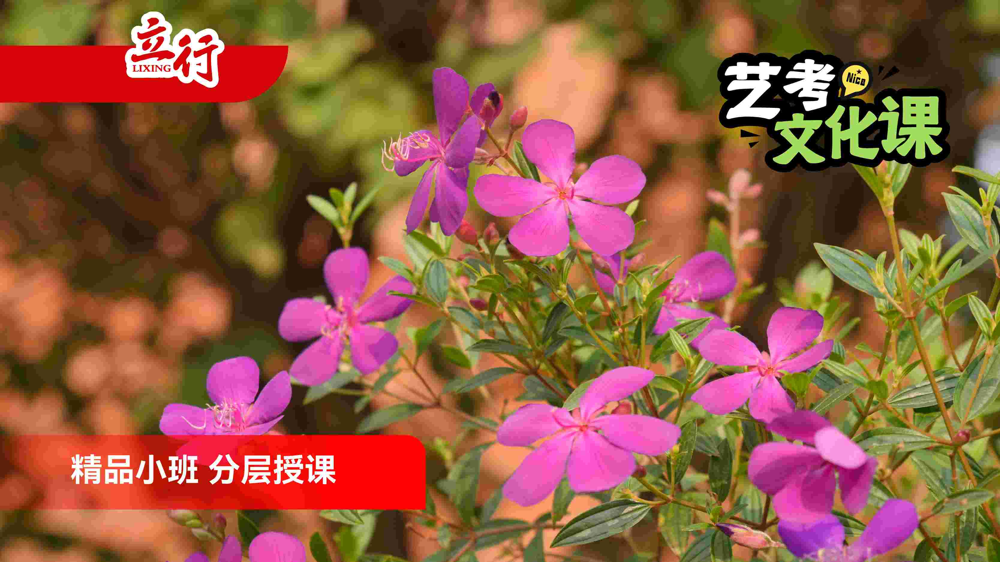 2026广州从化区艺考生文化课辅导班哪家本科率高+2025有推荐的艺考生文化课辅导班一览