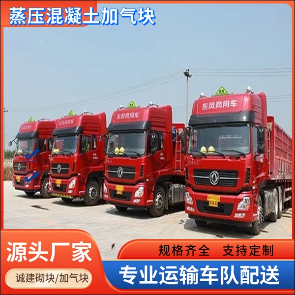 武城菏泽加气块品牌