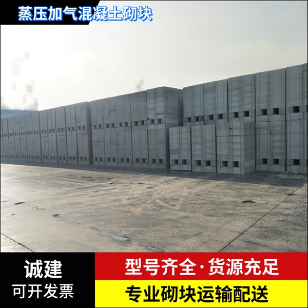 东阿济宁加气块公司