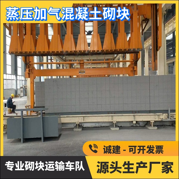 任县德州加气块品牌