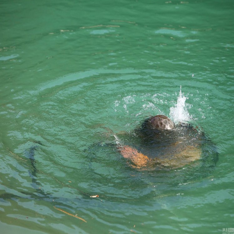 武威市水中更换喷泉设备公司2026武威市注重服务