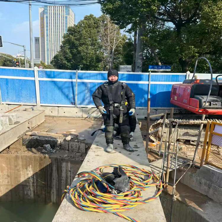 昌吉海上水下检测风机公司2026昌吉精心设计