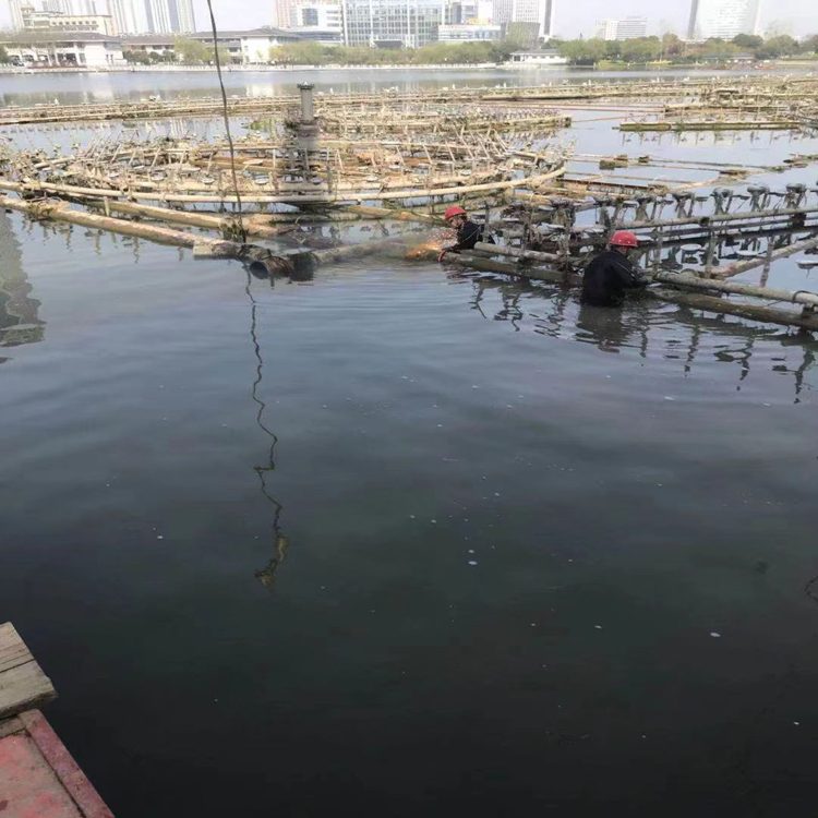 南通市水下打捞推流泵公司规模生产——南通市咨询