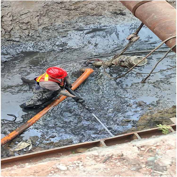 松原水池清理公司2026松原规模生产匠心打造