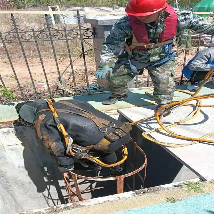 楚雄市蛙人服务公司品种多样——楚雄市工程队