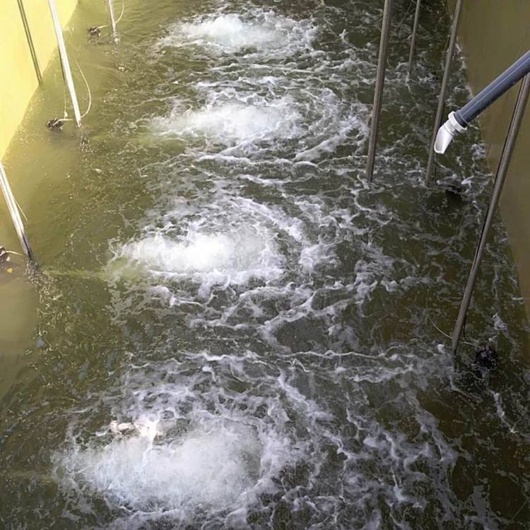 江门市专业潜水施工公司品质优先——江门市施工队伍