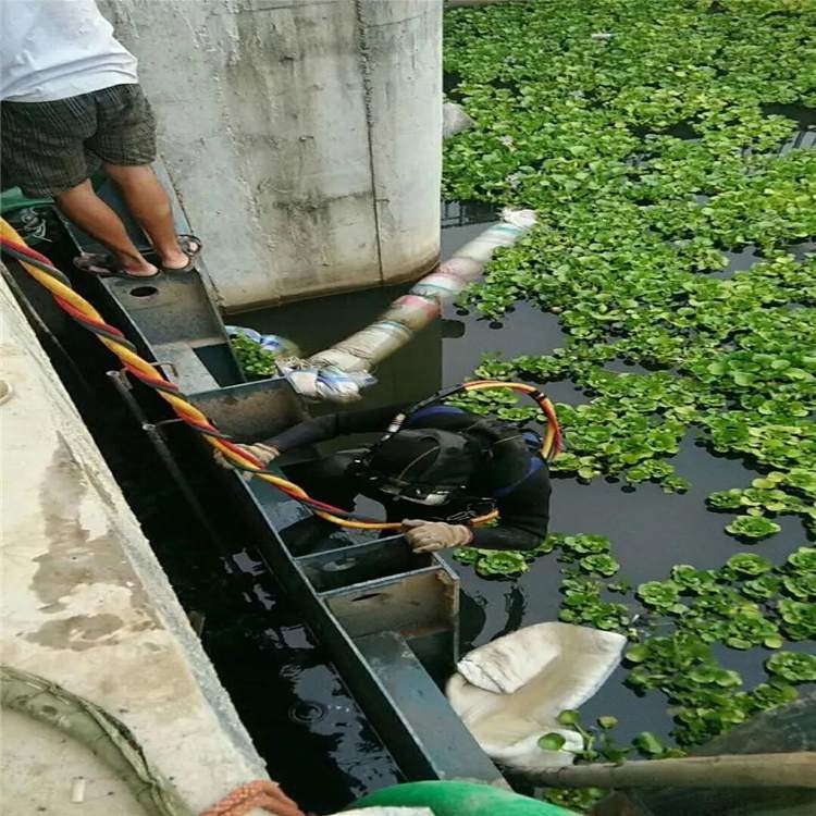 抚州市潜水施工工程公司匠心打造——抚州市资讯