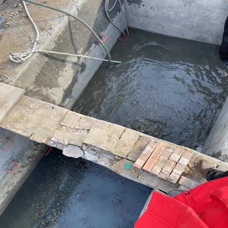 四川省蛙人施工公司2026四川省坚实耐用