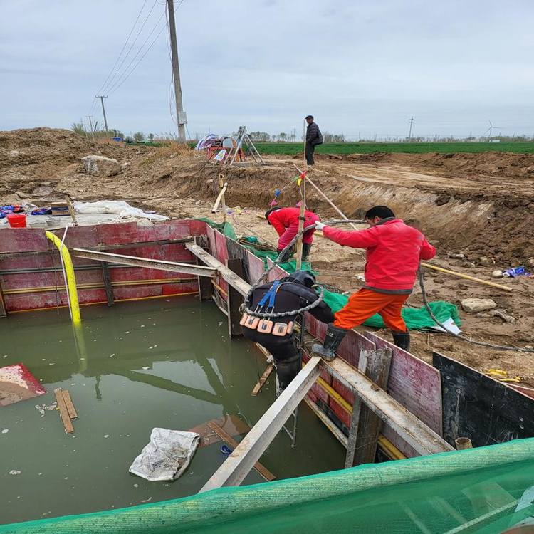 乌兰察布市水下清障公司2026乌兰察布市品种多样