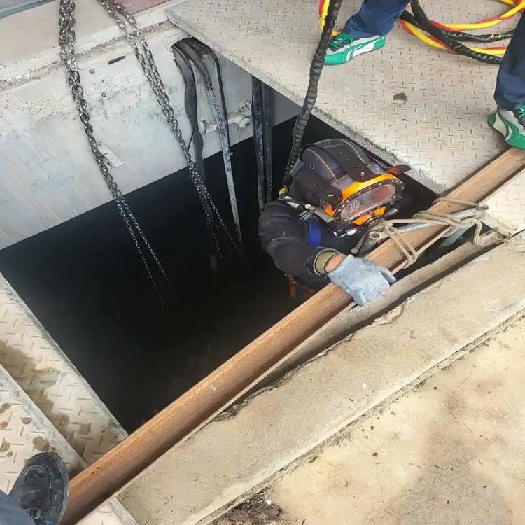 玉林市水下潜水摄像公司长期供应——玉林市资讯