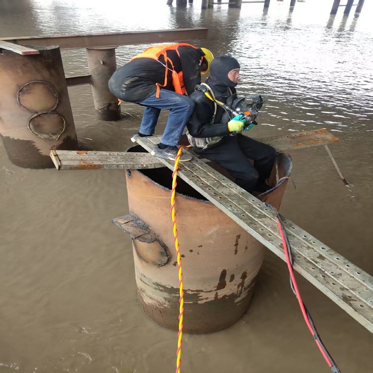 临沂市水下打捞队公司匠心打造——临沂市资讯