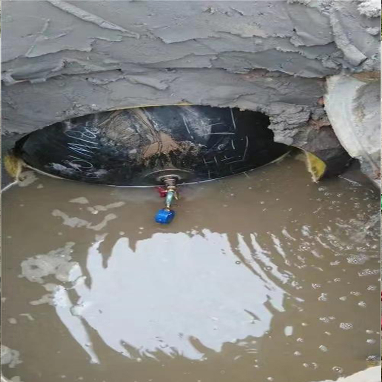 昭通水下维修曝气头2026昭通品质优良品种多样