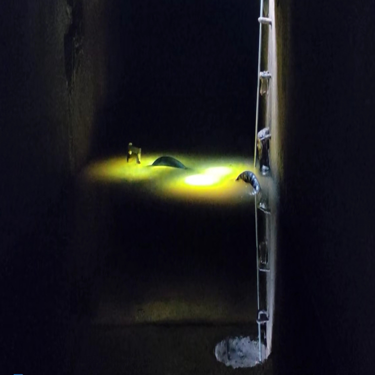 崇左水下施工摄像公司2026崇左客户至上