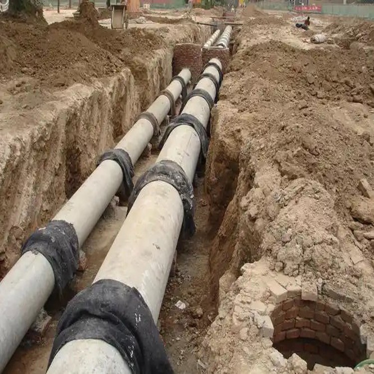 大理市潜水拍照2026大理种类繁多