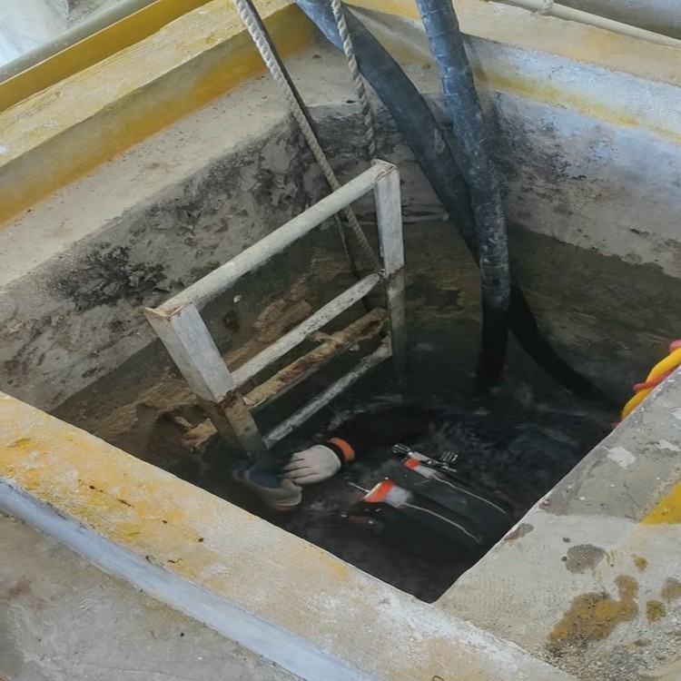 广西市水下维修曝气头公司2026广西客户为先