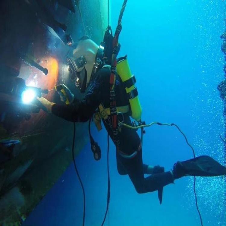 天津市水下维修曝气头2026天津品种多样