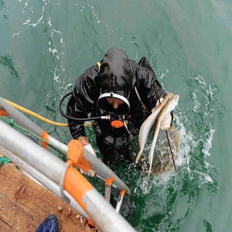 遵义污水厂潜水加固2026遵义品牌厂家品质优先