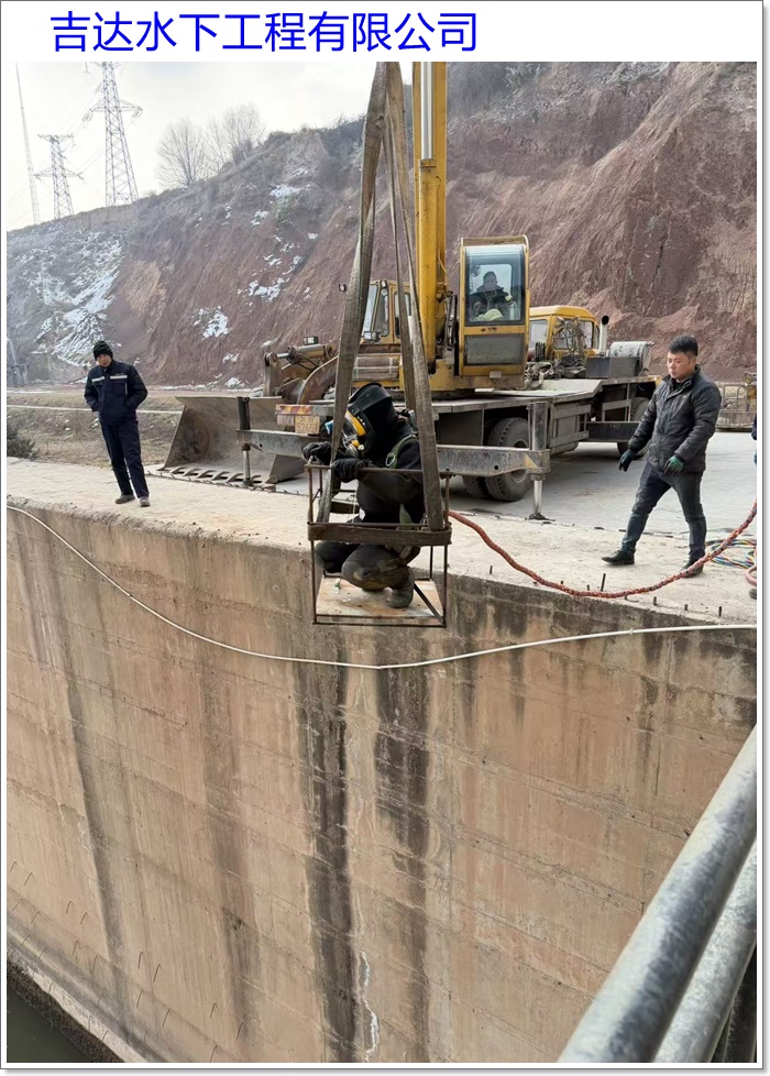 南京市潜水员作业服务公司2026「水下救援队伍」