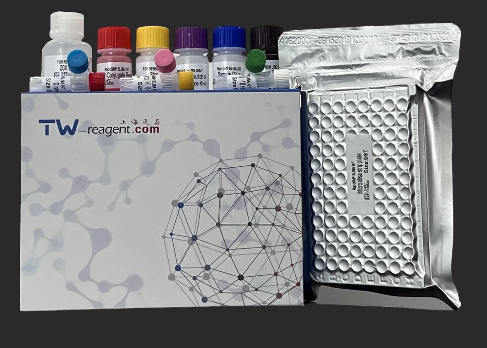 2026上海科研ELISA试剂盒生产厂家哪家好